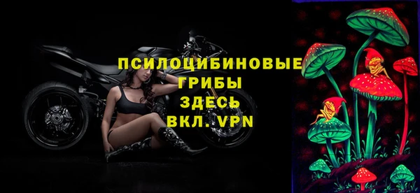 дмт Зерноград