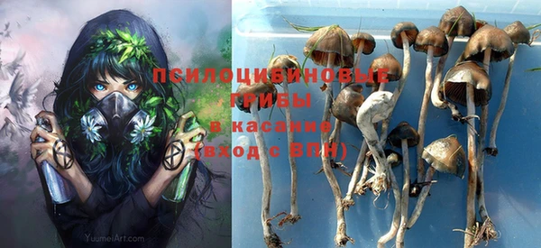 хмурый Алзамай