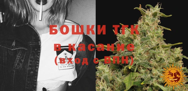 шишки Алексин
