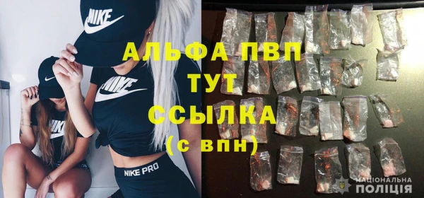apvp Инта