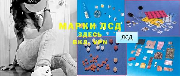 хмурый Алзамай